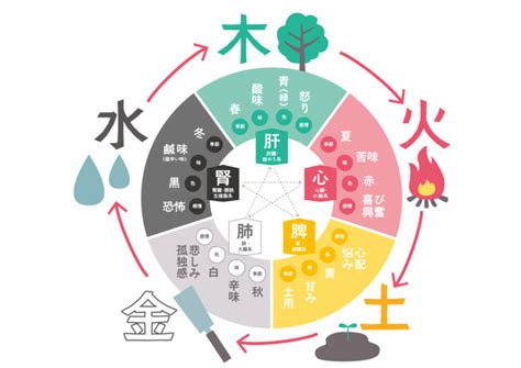 火 木 五行|五行説｜中国の自然哲学思想！万物は火・水・木・金 